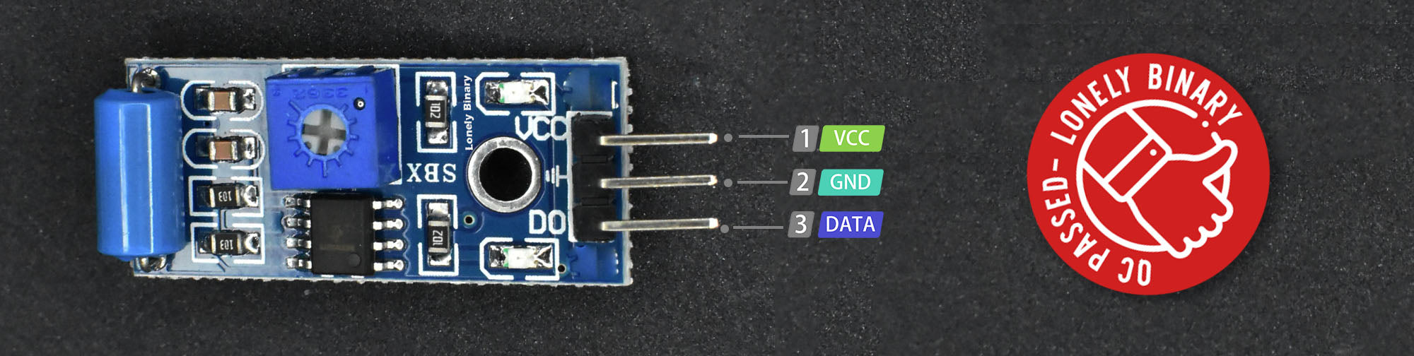 Lonely Binary Project Pinout